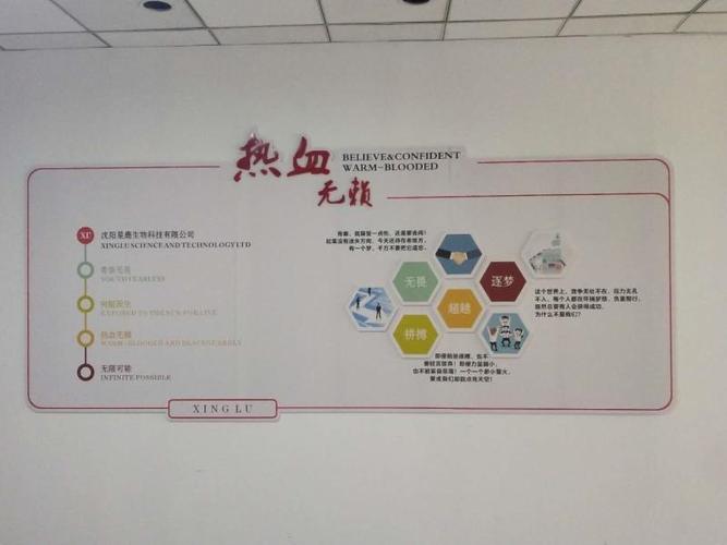 针纺织品,钟表,眼镜,摄像器材,办公用品,文化用品,食品,保健食品销售